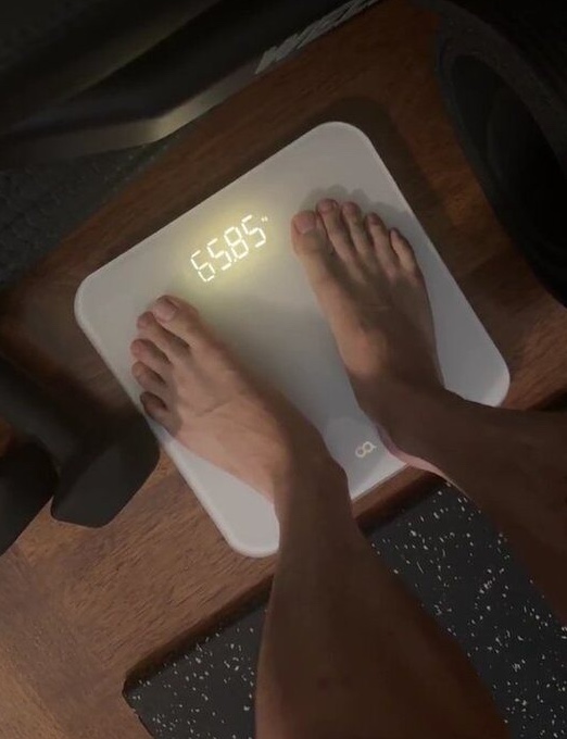1a.430.v-bts-weigh