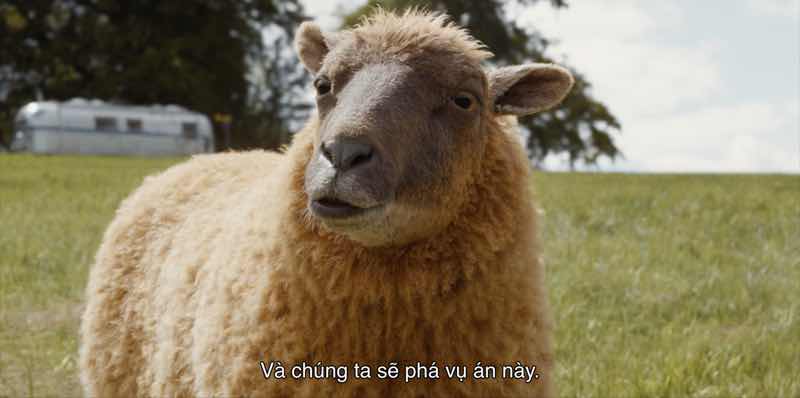 1a.78.doi-tham-tu-cuu-an-mang-nua-dem-truyen-thong-spotlight-vietnam9