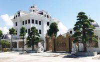 &Ocirc;ng tr&ugrave;m lan đột biến Quảng Ninh bị bắt: Thu lời bất ch&iacute;nh h&agrave;ng trăm tỷ, ở biệt thự khủng, sở hữu tiệm v&agrave;ng