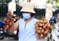 Gần 100.000 tấn vải đ&atilde; được ti&ecirc;u thụ