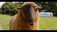 &ldquo;ĐỘI TH&Aacute;M TỬ CỪU: &Aacute;N MẠNG L&Uacute;C NỬA Đ&Ecirc;M&rdquo; KH&Ocirc;NG CHỈ L&Agrave; PHIM TRINH TH&Aacute;M ĐƠN THUẦN