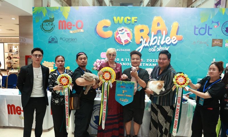 Khi mèo thi… nhan sắc tại WCF Coral Jubilee Cat Show 2023