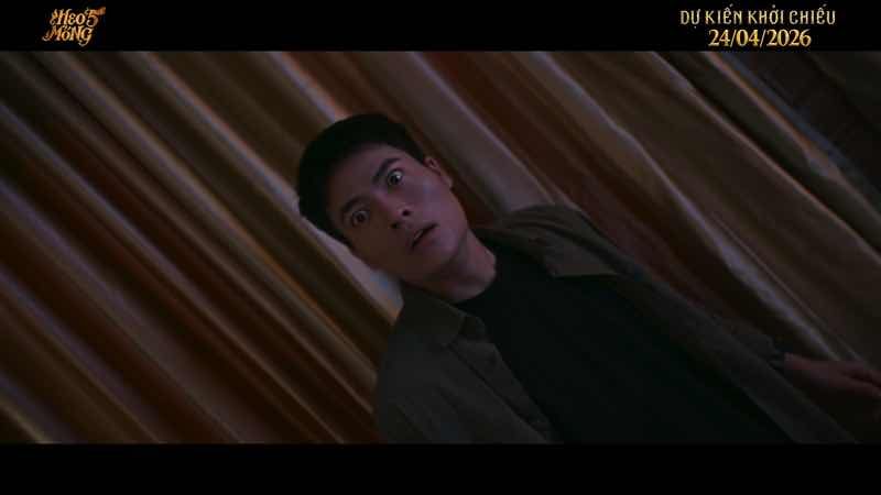 MỘT V&Otilde; TẤN PH&Aacute;T G&Acirc;Y T&Ograve; M&Ograve; V&Igrave;... KH&Ocirc;NG DIỄN H&Agrave;I TRONG &ldquo;HEO NĂM M&Oacute;NG&rdquo;