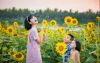 Nh&agrave; s&aacute;ng lập Ecopark v&agrave; h&agrave;nh tr&igrave;nh kiến tạo những th&agrave;nh phố đ&aacute;ng sống
