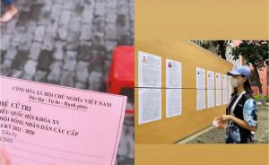 Trần Tiểu Vy cùng hàng loạt sao Việt háo hức với vai trò cử tri trong ngày bầu cử toàn quốc