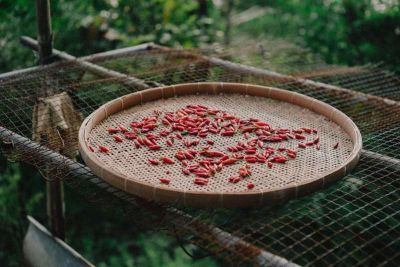 Bí quyết giảm cân nhanh